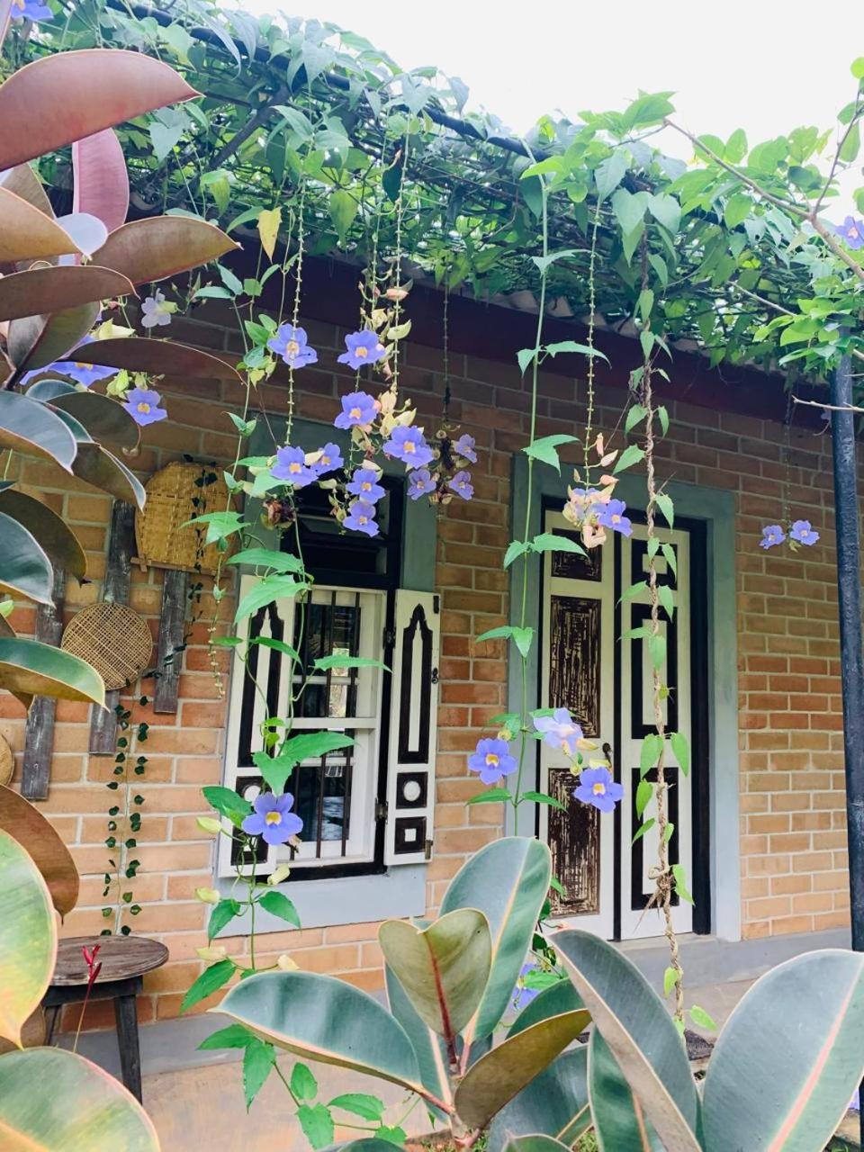 Ashok Villa فيليغاما المظهر الخارجي الصورة
